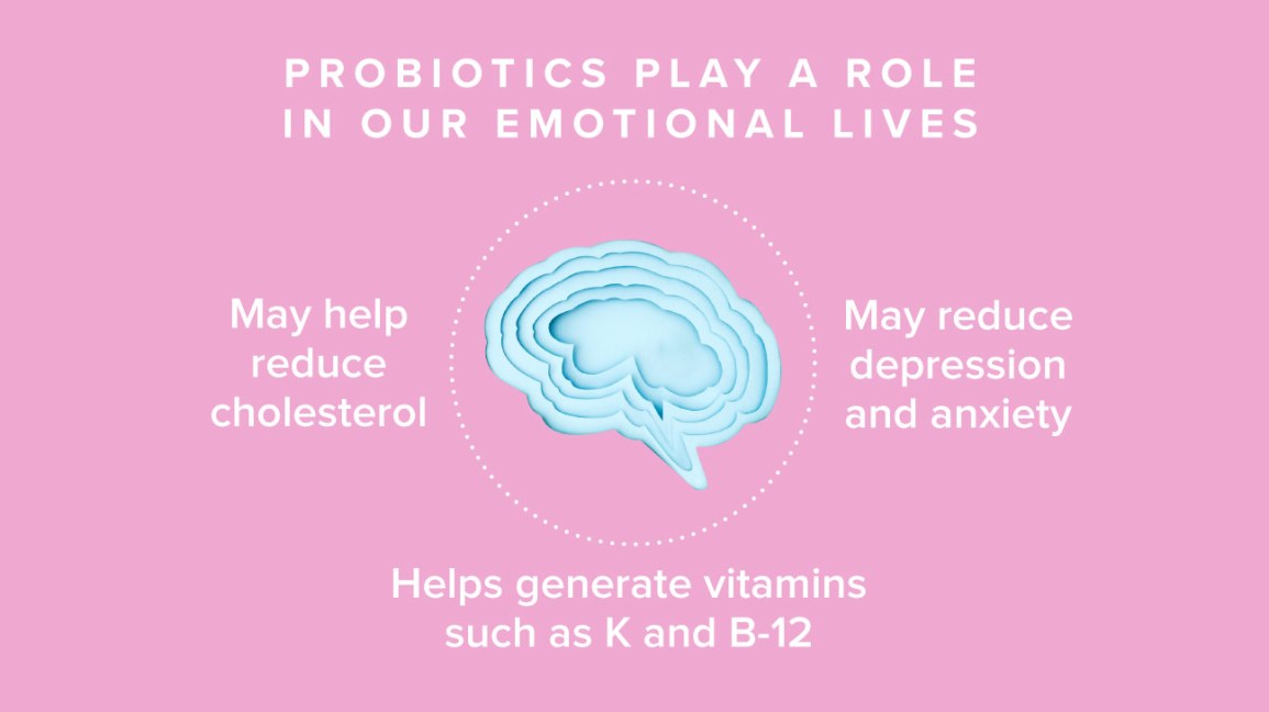 The No BS Guide to Probiotics for Your Brain post thumbnail image